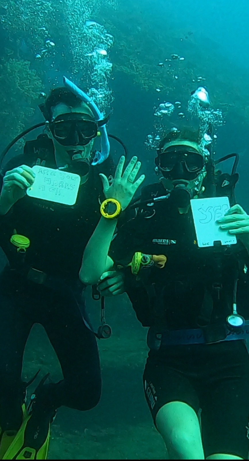 Der Antrag - Underwater Proposal